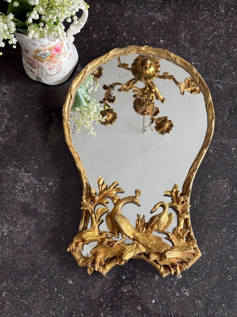 Antique French Rococo style bronze vanity mirror detailed with a sculpted peacock and swan among branches.