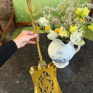 Skaista Lāpstiņa kāmīnam (7109)